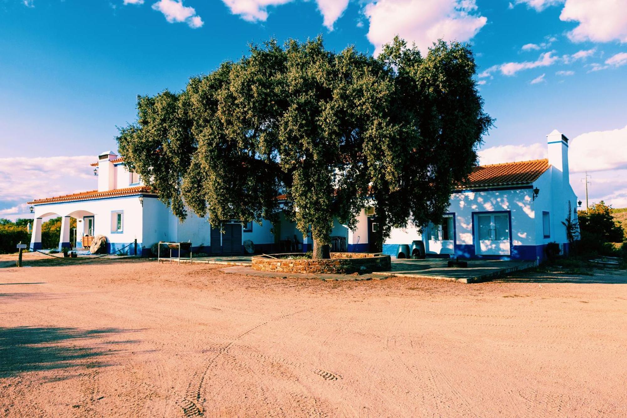 Herdade Dos Barros Vendégház Terena Kültér fotó