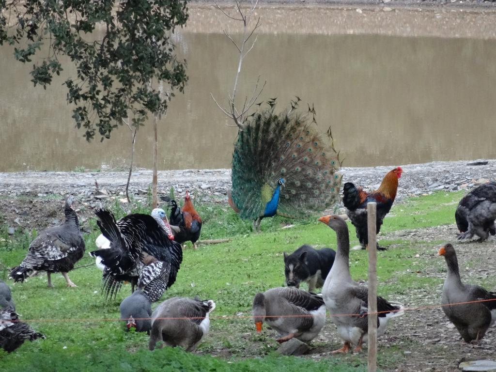 Herdade Dos Barros Vendégház Terena Kültér fotó